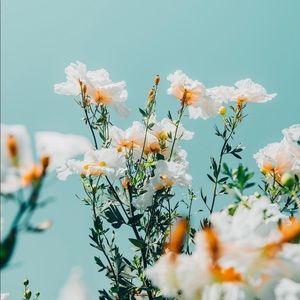 Meet your Posher, Esther